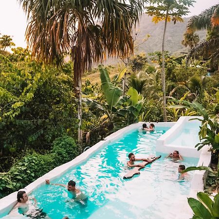 אל סאינו The Valley Tayrona Hostel- A Social Jungle Hostel מראה חיצוני תמונה