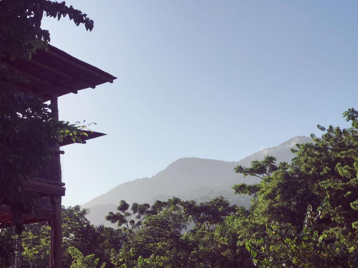 אל סאינו The Valley Tayrona Hostel- A Social Jungle Hostel מראה חיצוני תמונה