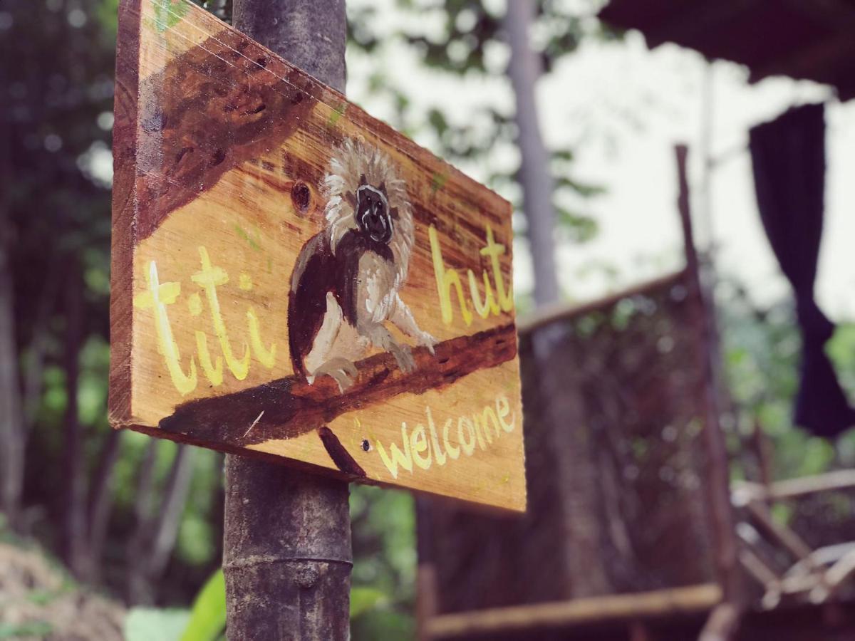 אל סאינו The Valley Tayrona Hostel- A Social Jungle Hostel מראה חיצוני תמונה
