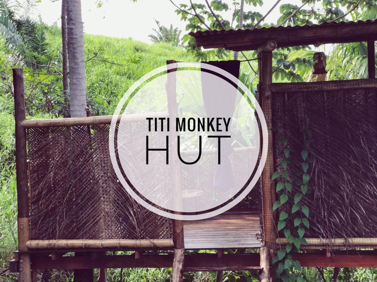 אל סאינו The Valley Tayrona Hostel- A Social Jungle Hostel מראה חיצוני תמונה
