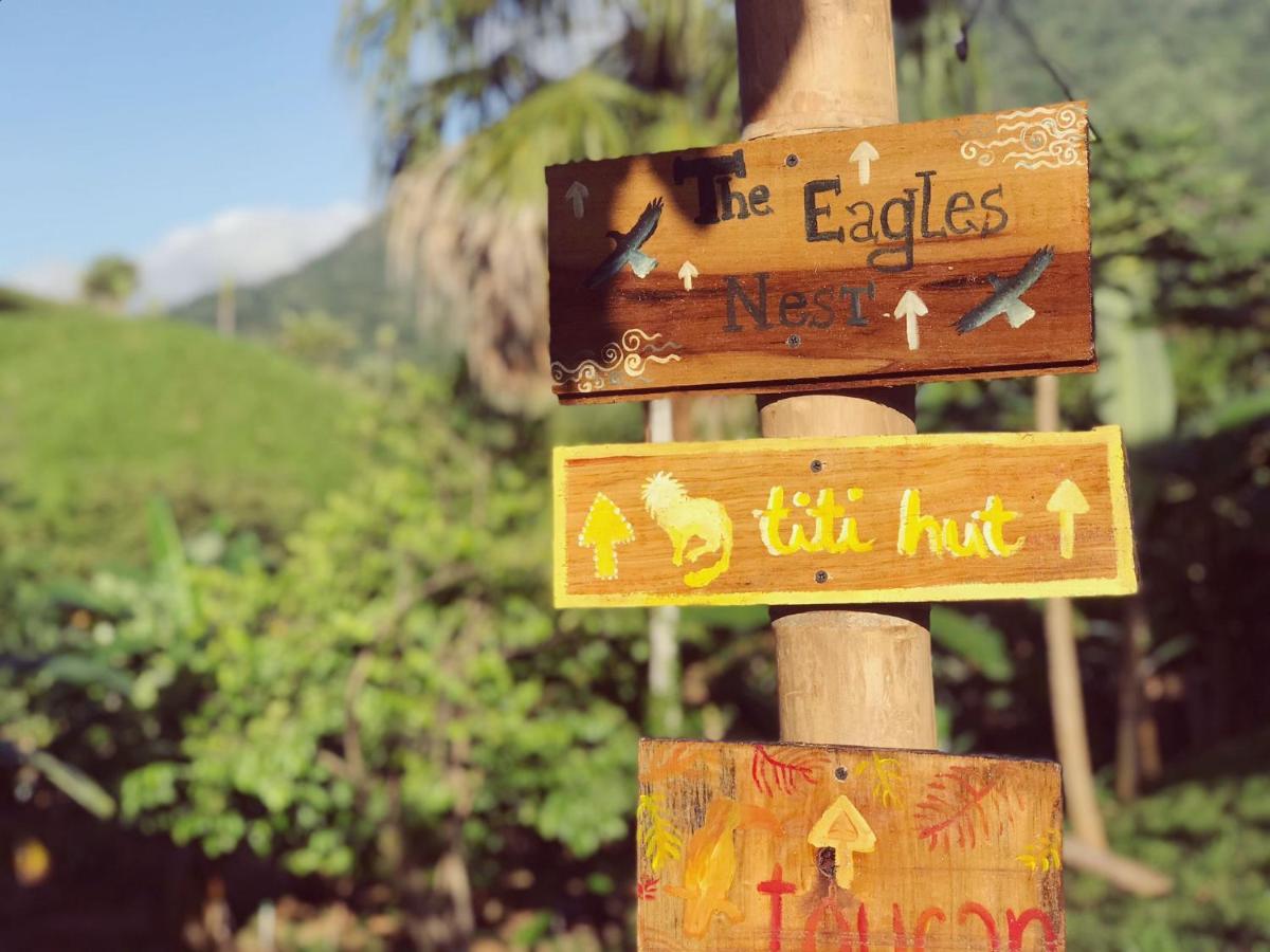 אל סאינו The Valley Tayrona Hostel- A Social Jungle Hostel מראה חיצוני תמונה