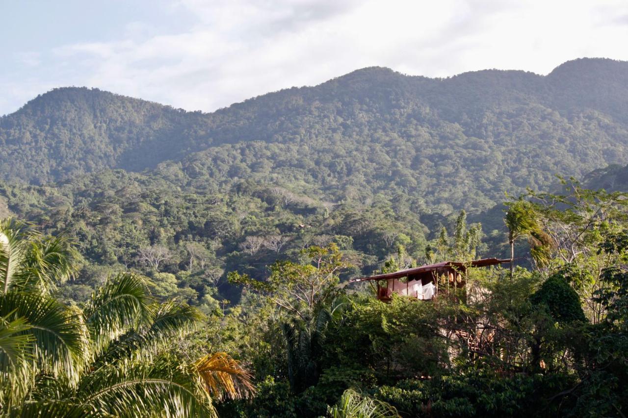 אל סאינו The Valley Tayrona Hostel- A Social Jungle Hostel מראה חיצוני תמונה