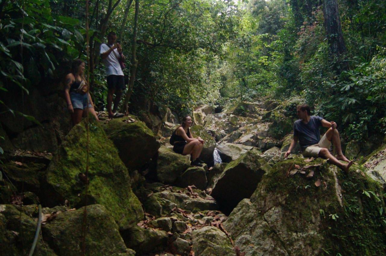 אל סאינו The Valley Tayrona Hostel- A Social Jungle Hostel מראה חיצוני תמונה