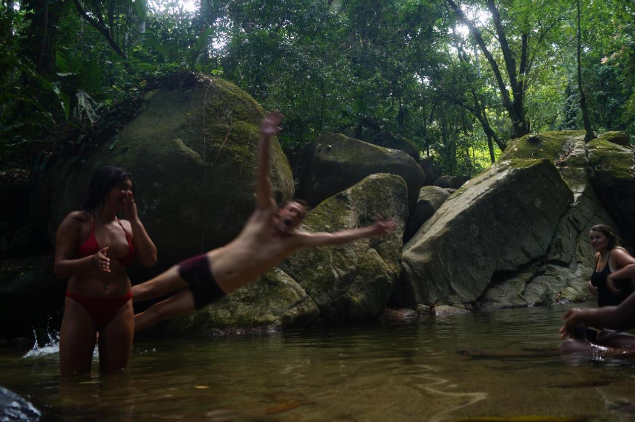אל סאינו The Valley Tayrona Hostel- A Social Jungle Hostel מראה חיצוני תמונה