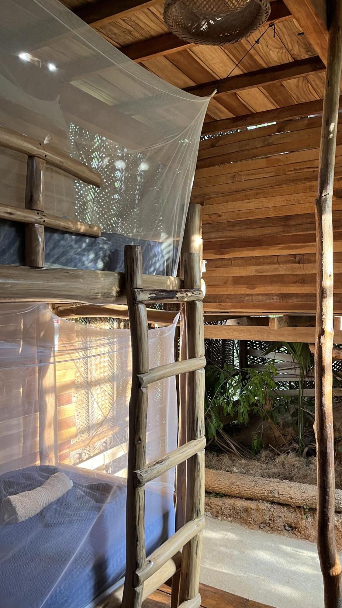 אל סאינו The Valley Tayrona Hostel- A Social Jungle Hostel מראה חיצוני תמונה
