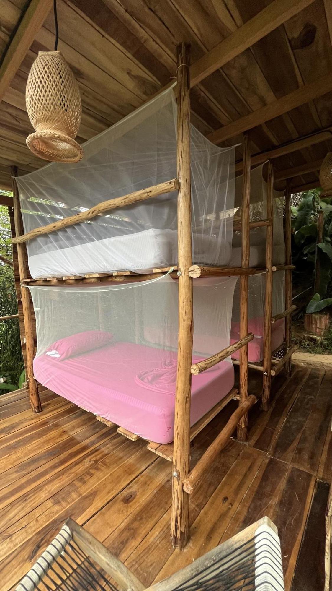 אל סאינו The Valley Tayrona Hostel- A Social Jungle Hostel מראה חיצוני תמונה