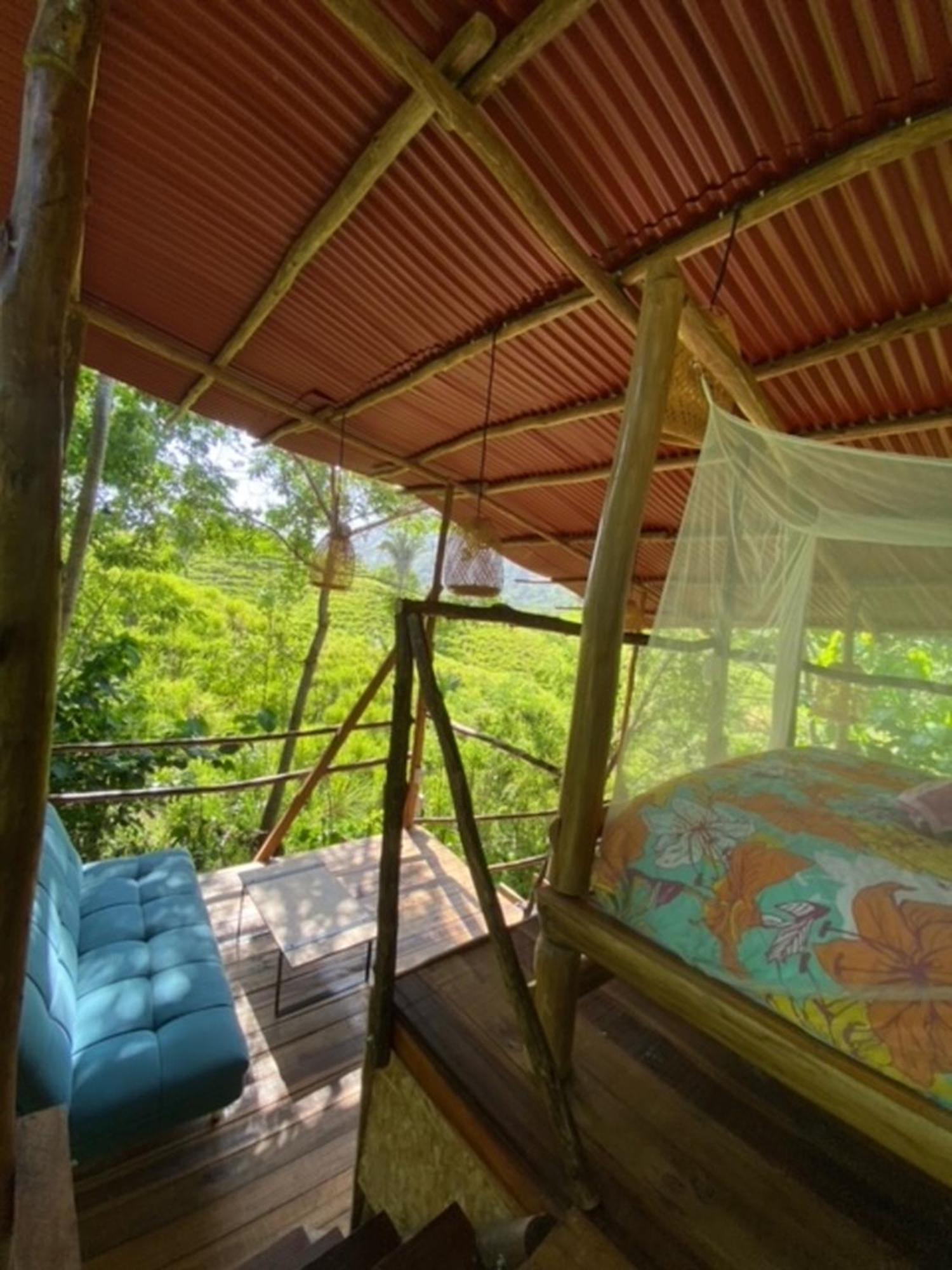 אל סאינו The Valley Tayrona Hostel- A Social Jungle Hostel מראה חיצוני תמונה