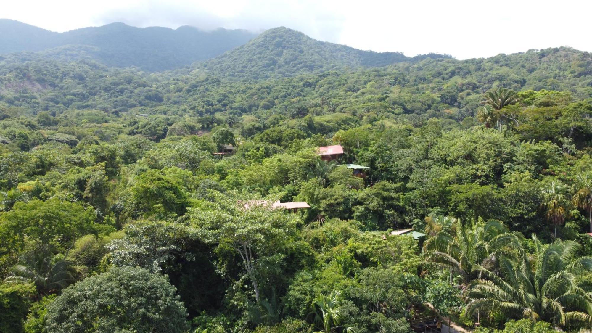אל סאינו The Valley Tayrona Hostel- A Social Jungle Hostel מראה חיצוני תמונה