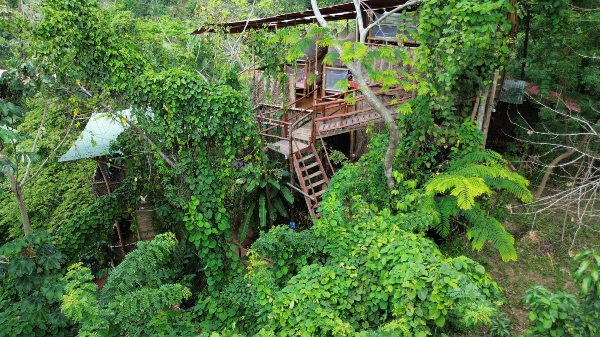 אל סאינו The Valley Tayrona Hostel- A Social Jungle Hostel מראה חיצוני תמונה