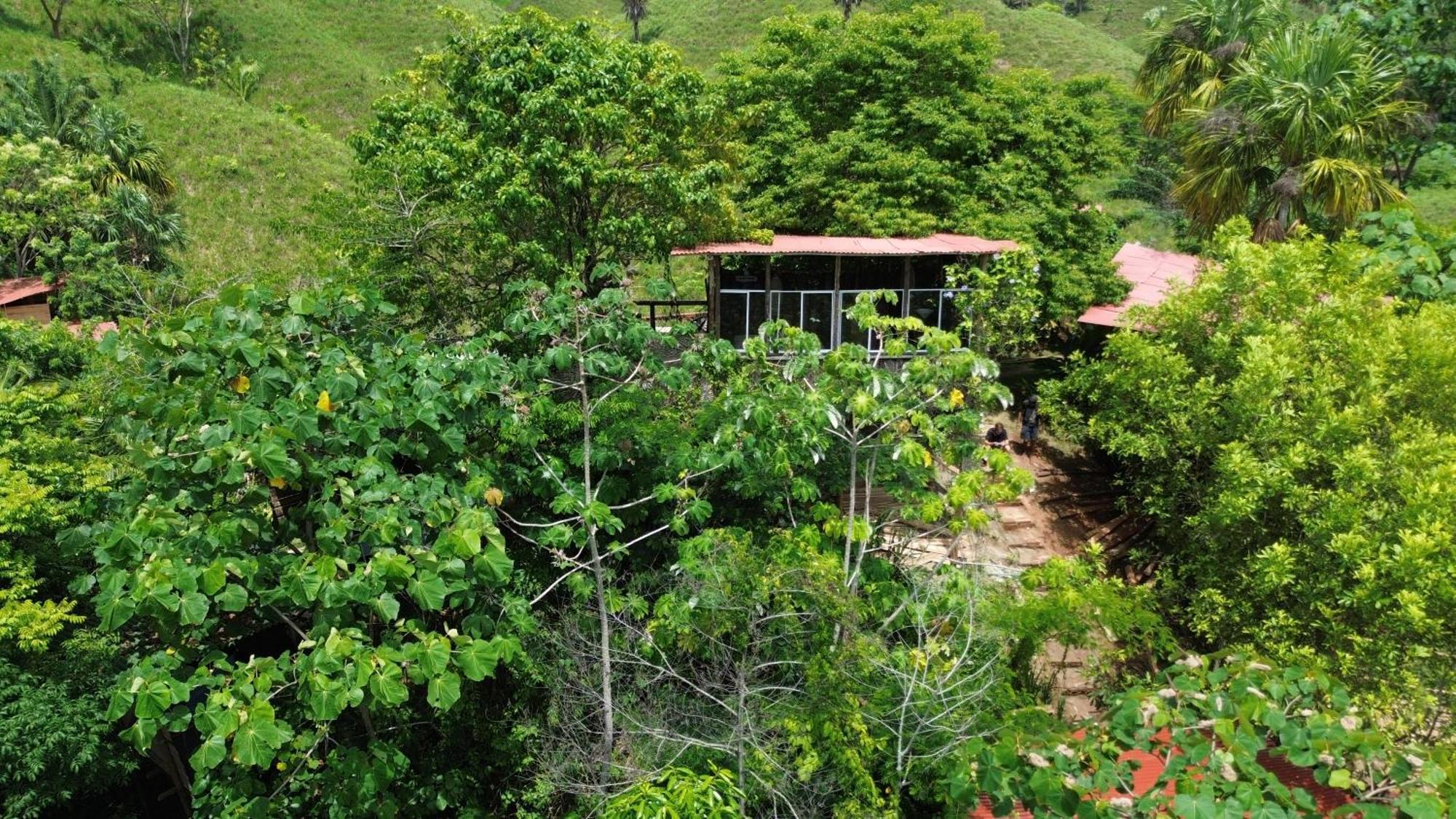 אל סאינו The Valley Tayrona Hostel- A Social Jungle Hostel מראה חיצוני תמונה