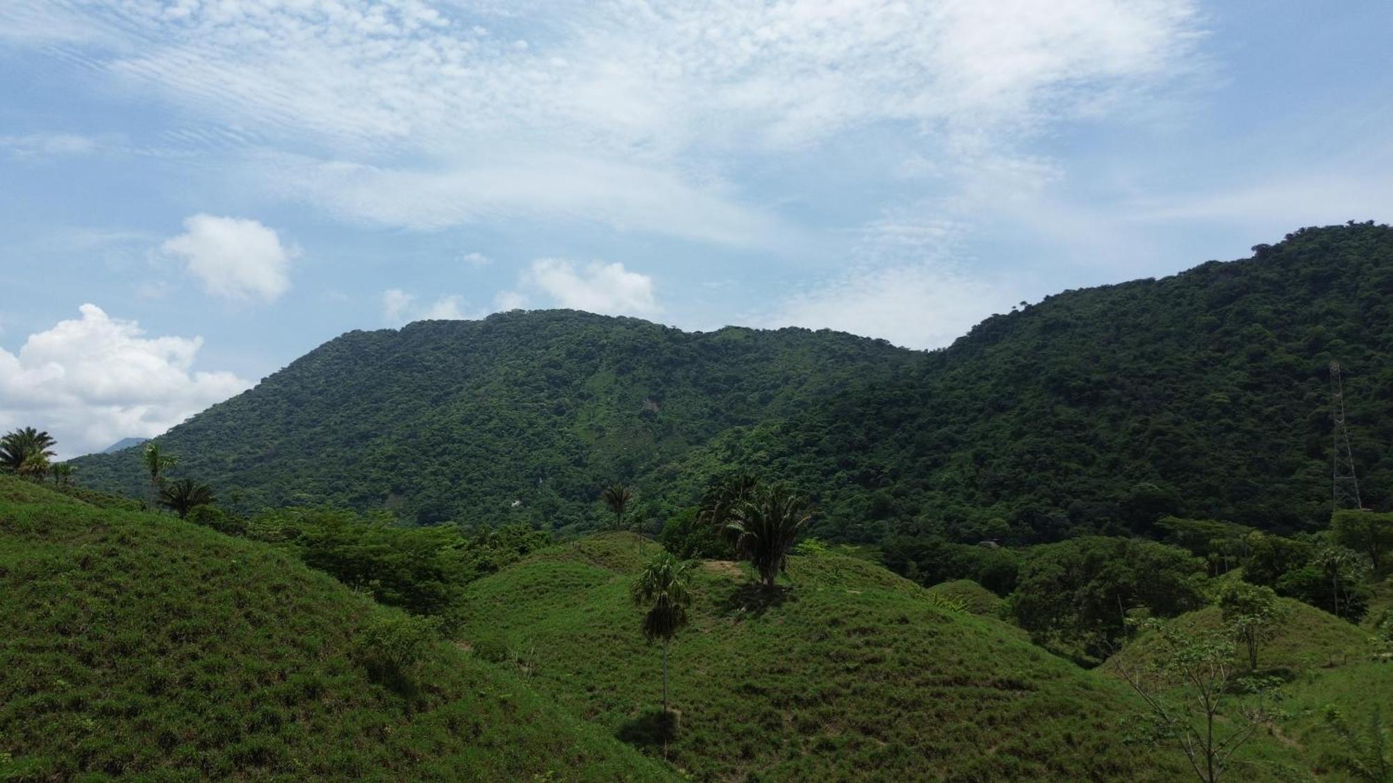 אל סאינו The Valley Tayrona Hostel- A Social Jungle Hostel מראה חיצוני תמונה
