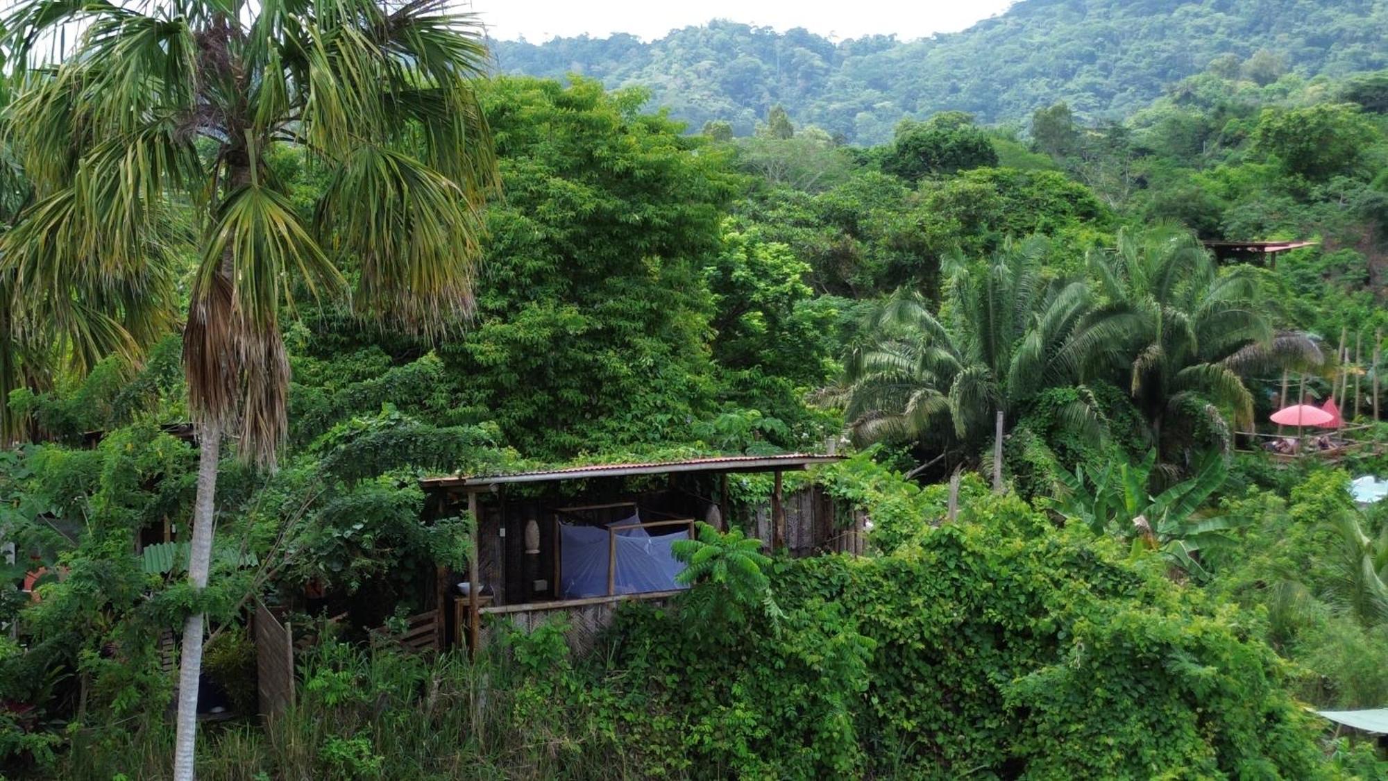 אל סאינו The Valley Tayrona Hostel- A Social Jungle Hostel מראה חיצוני תמונה