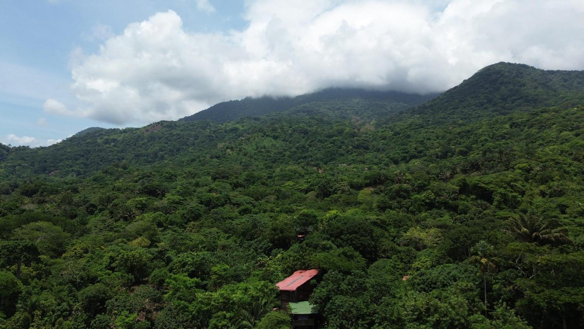 אל סאינו The Valley Tayrona Hostel- A Social Jungle Hostel מראה חיצוני תמונה