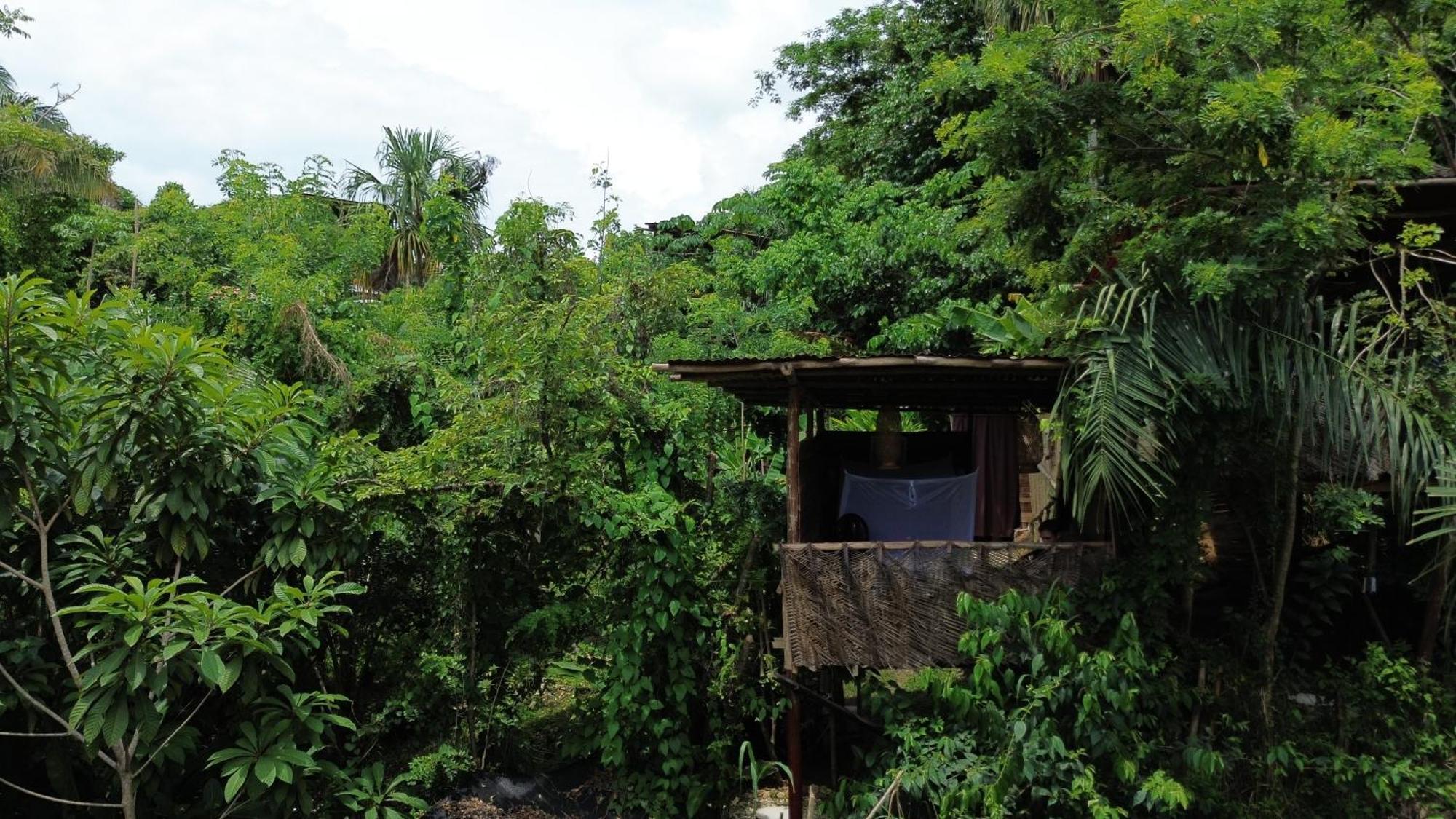 אל סאינו The Valley Tayrona Hostel- A Social Jungle Hostel מראה חיצוני תמונה