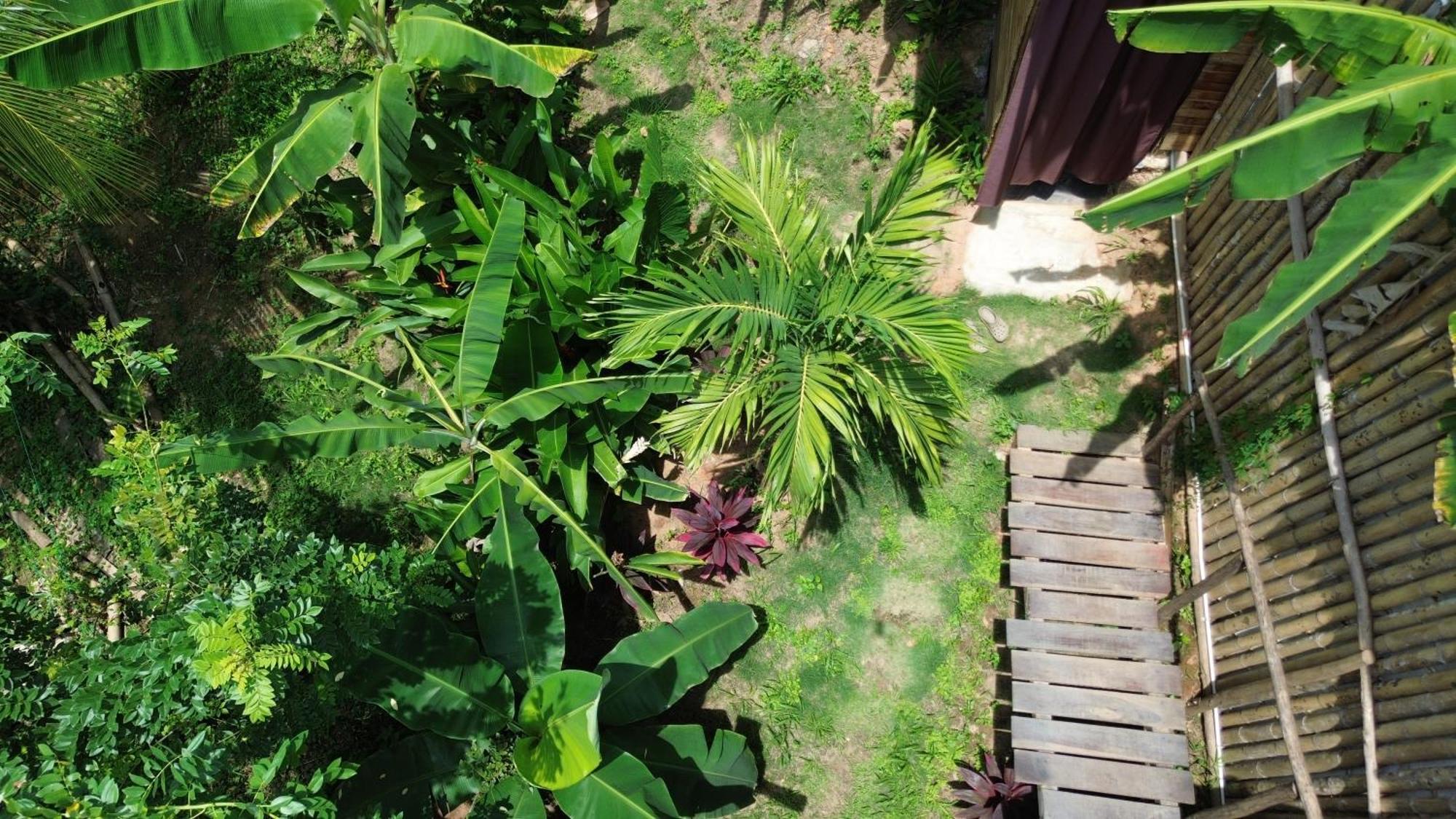 אל סאינו The Valley Tayrona Hostel- A Social Jungle Hostel מראה חיצוני תמונה