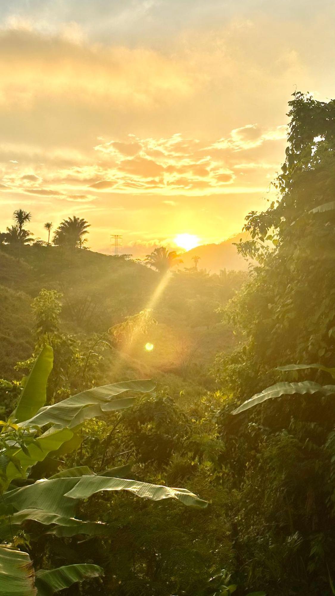 אל סאינו The Valley Tayrona Hostel- A Social Jungle Hostel מראה חיצוני תמונה