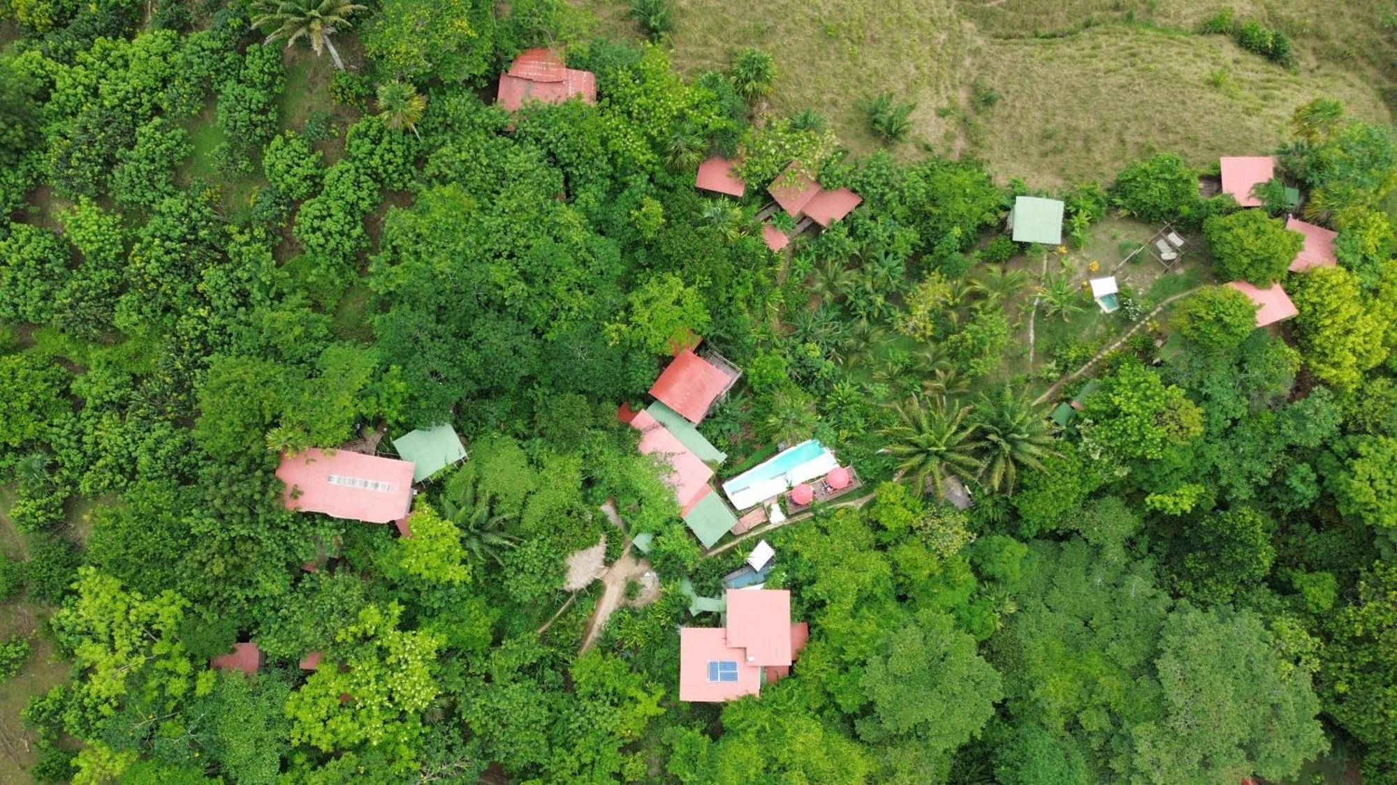 אל סאינו The Valley Tayrona Hostel- A Social Jungle Hostel מראה חיצוני תמונה