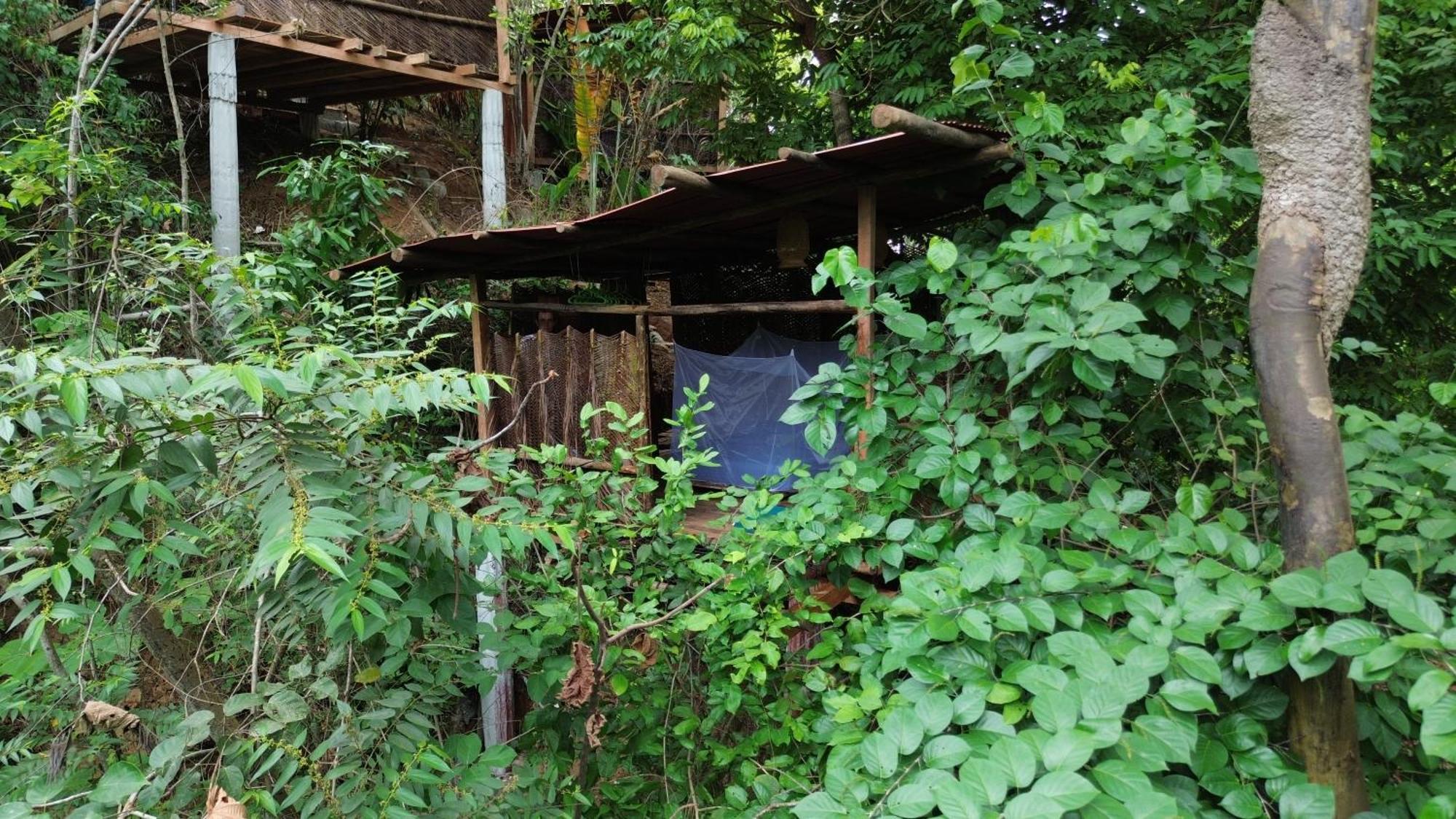 אל סאינו The Valley Tayrona Hostel- A Social Jungle Hostel מראה חיצוני תמונה